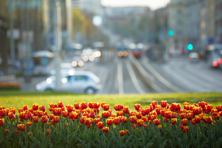 Spring Overview of Exciting Job Opportunities