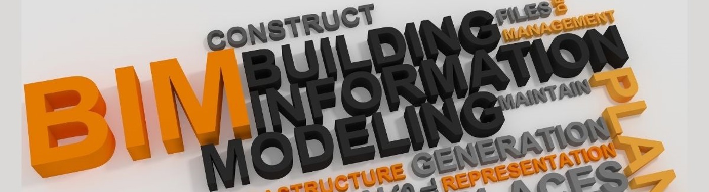 BIM (1)