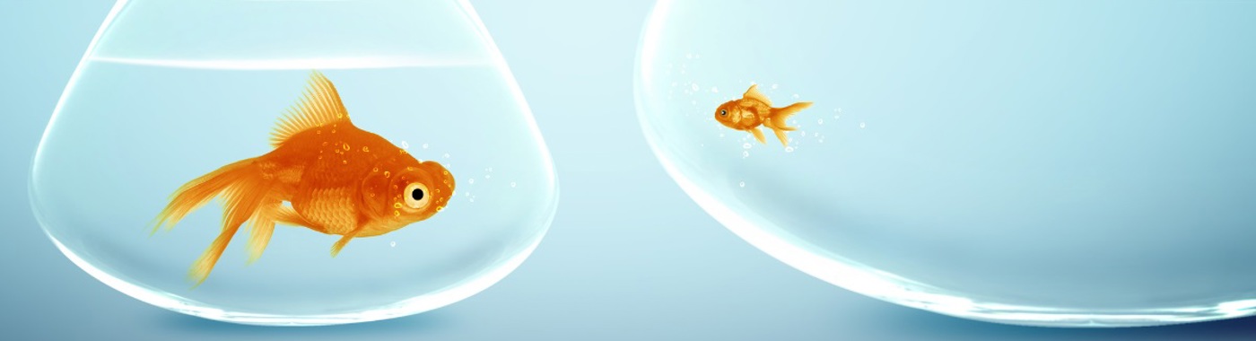 Big Fish