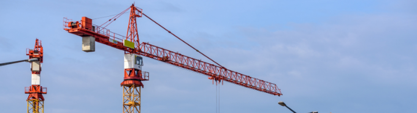 Crane 1